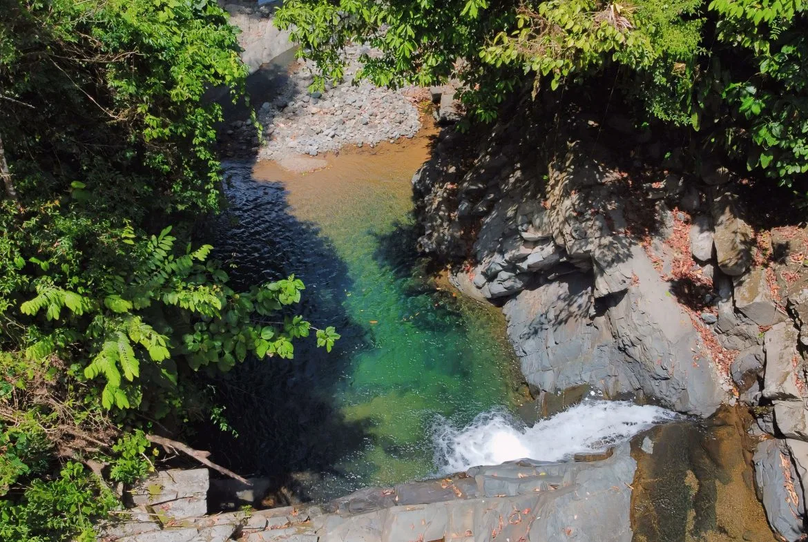 JUNGLE DREAMS FARM: WHERE NATURE MEETS SERENITY – 20 ACRES, photo 16