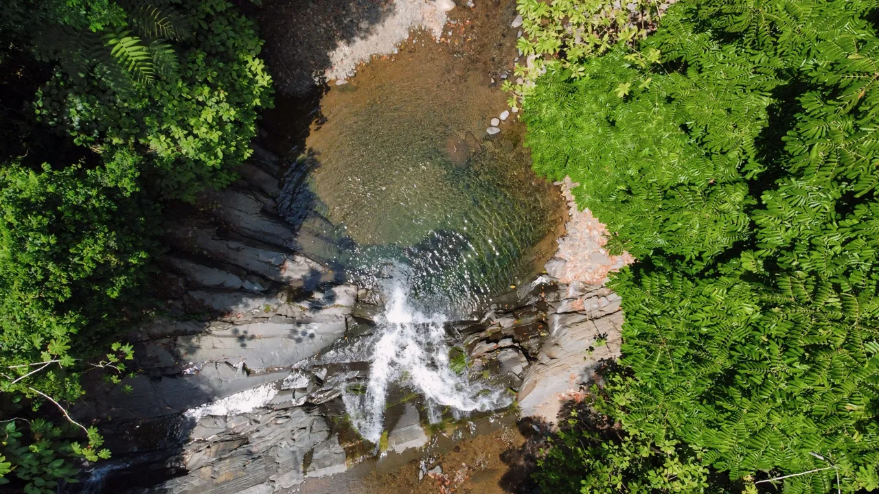JUNGLE DREAMS FARM: WHERE NATURE MEETS SERENITY – 20 ACRES, photo 17