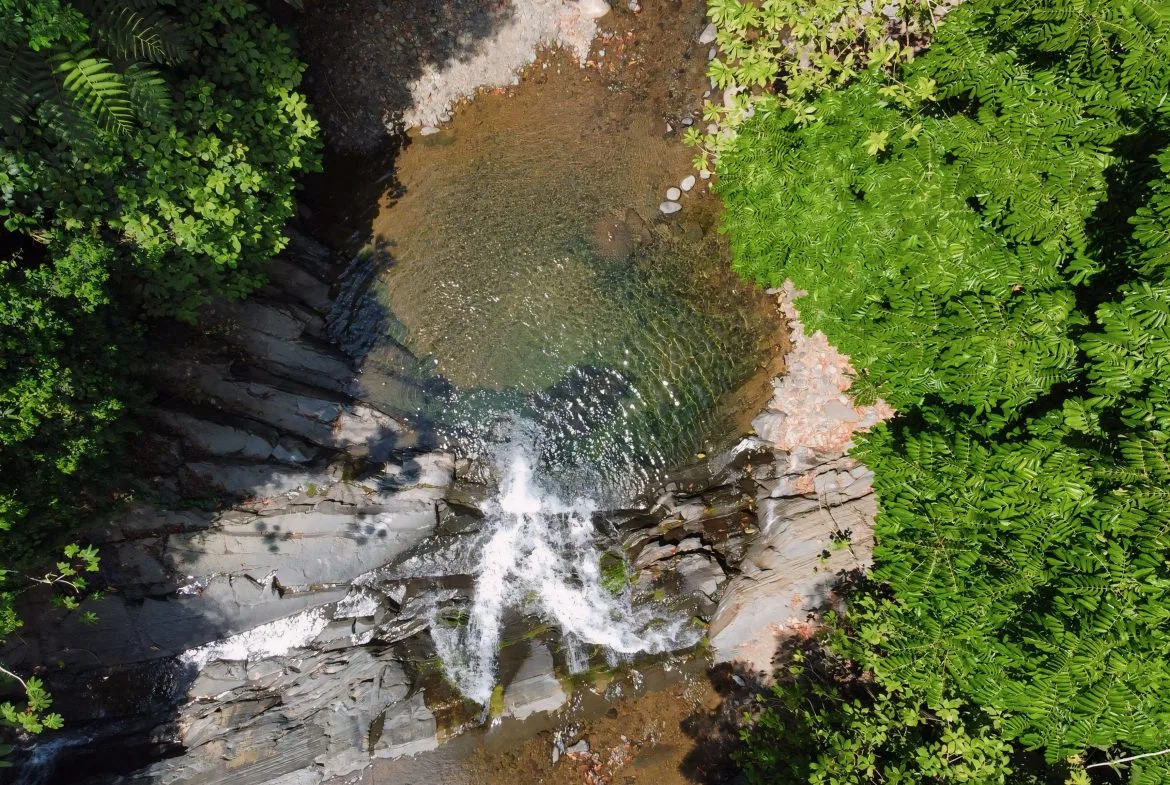 JUNGLE DREAMS FARM: WHERE NATURE MEETS SERENITY – 20 ACRES, photo 18