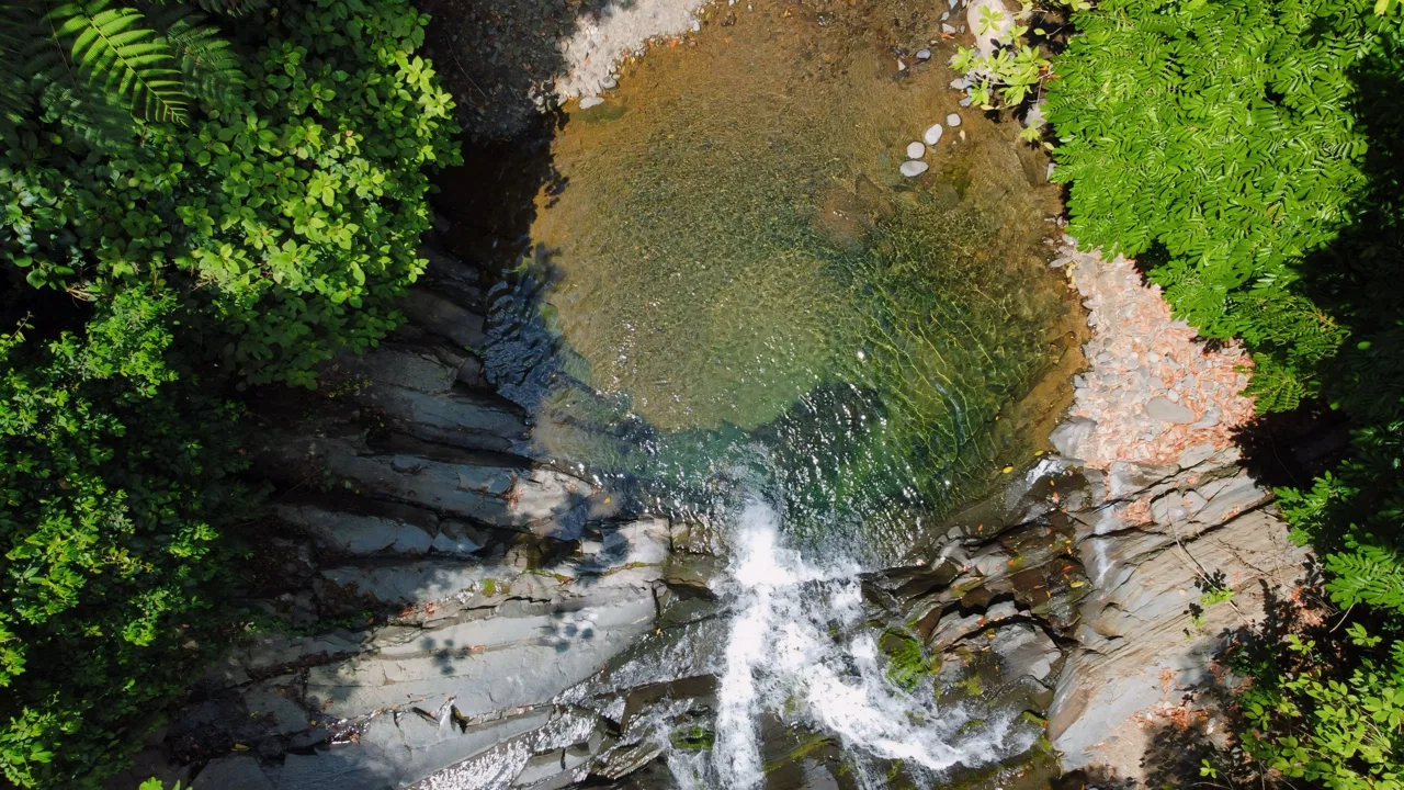 JUNGLE DREAMS FARM: WHERE NATURE MEETS SERENITY – 20 ACRES, photo 19