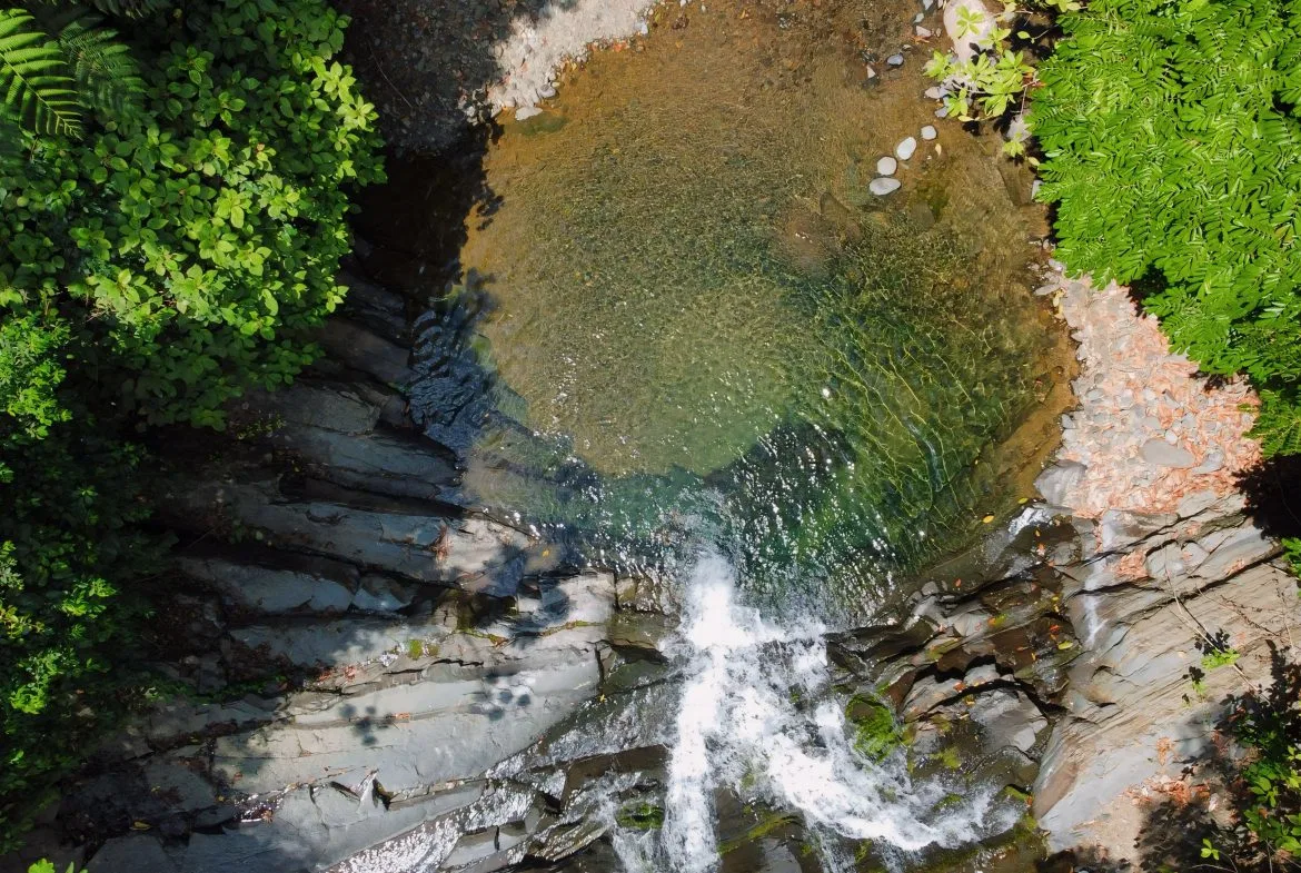 JUNGLE DREAMS FARM: WHERE NATURE MEETS SERENITY – 20 ACRES, photo 20