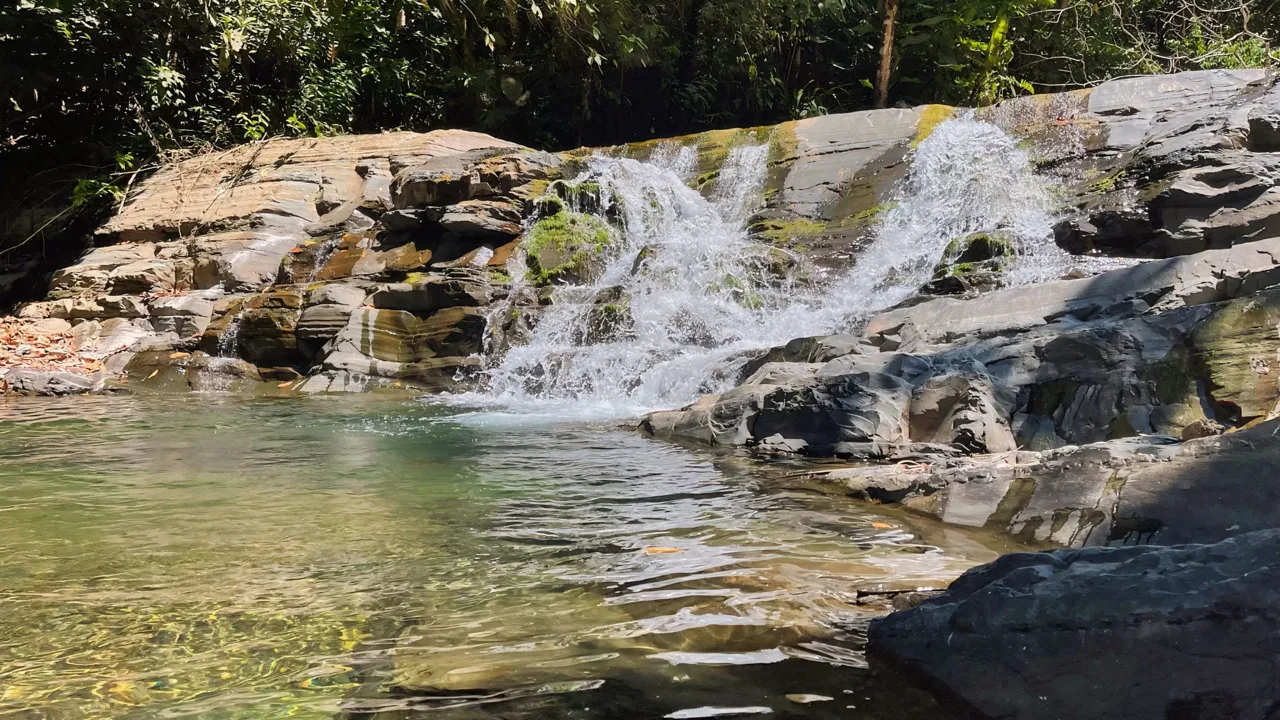 JUNGLE DREAMS FARM: WHERE NATURE MEETS SERENITY – 20 ACRES, photo 21