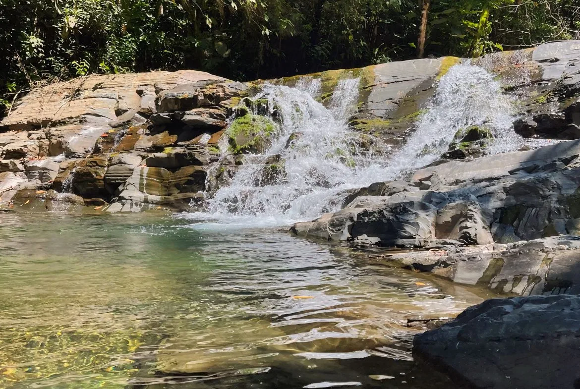 JUNGLE DREAMS FARM: WHERE NATURE MEETS SERENITY – 20 ACRES, photo 22
