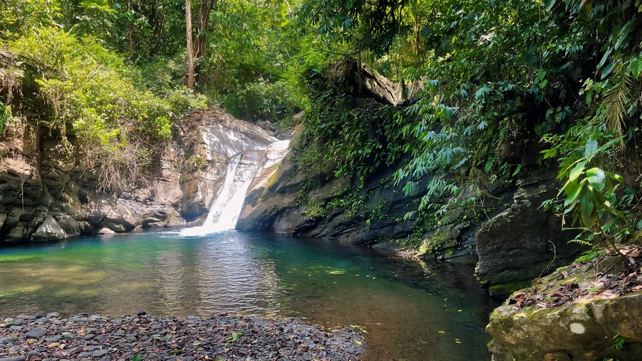 JUNGLE DREAMS FARM: WHERE NATURE MEETS SERENITY – 20 ACRES, photo 5