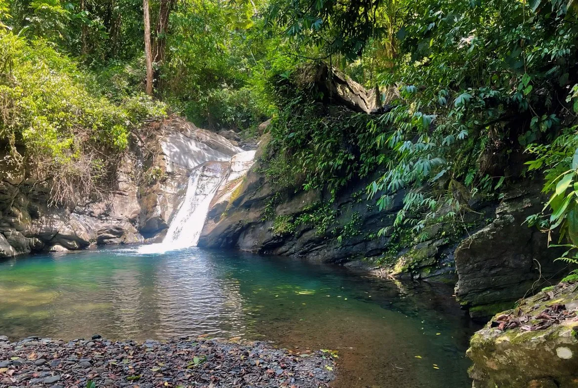 JUNGLE DREAMS FARM: WHERE NATURE MEETS SERENITY – 20 ACRES, photo 6
