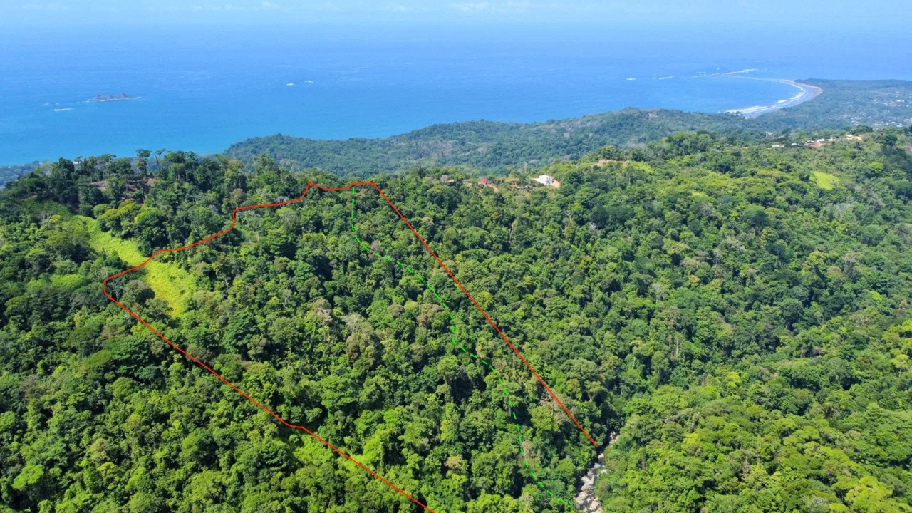 JUNGLE DREAMS FARM: WHERE NATURE MEETS SERENITY – 20 ACRES, photo 7