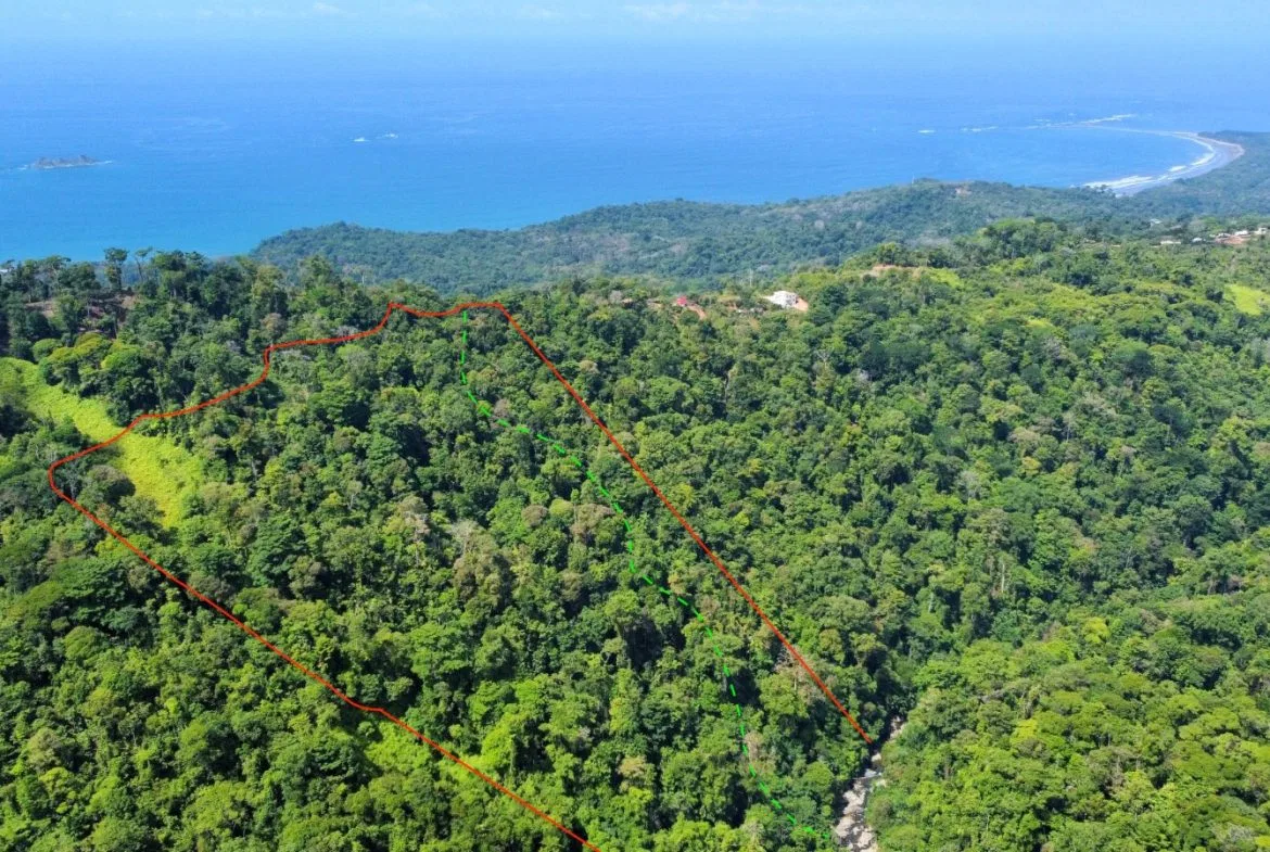 JUNGLE DREAMS FARM: WHERE NATURE MEETS SERENITY – 20 ACRES, photo 8