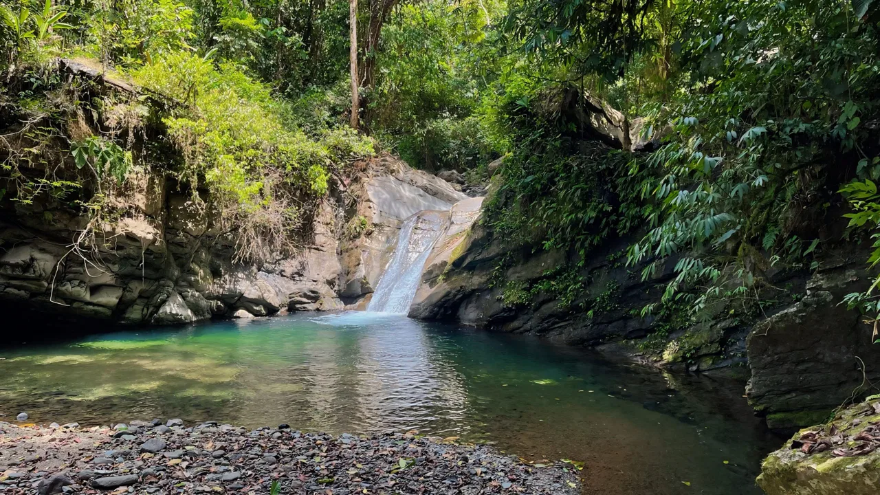 JUNGLE DREAMS FARM: WHERE NATURE MEETS SERENITY – 20 ACRES, photo 9