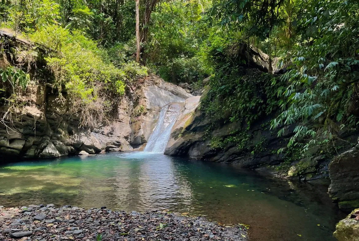 JUNGLE DREAMS FARM: WHERE NATURE MEETS SERENITY – 20 ACRES, photo 10