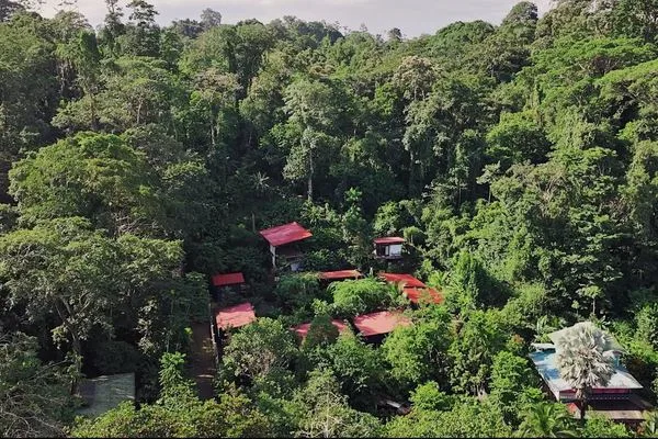 Turnkey Caribbean Retreat Walking distance to the beach for Sale in Punta Uva, Costa Rica