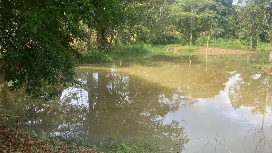 CityMax Vende Finca con Casa en San José Turrubares  - Venta en Turrubares, photo 15
