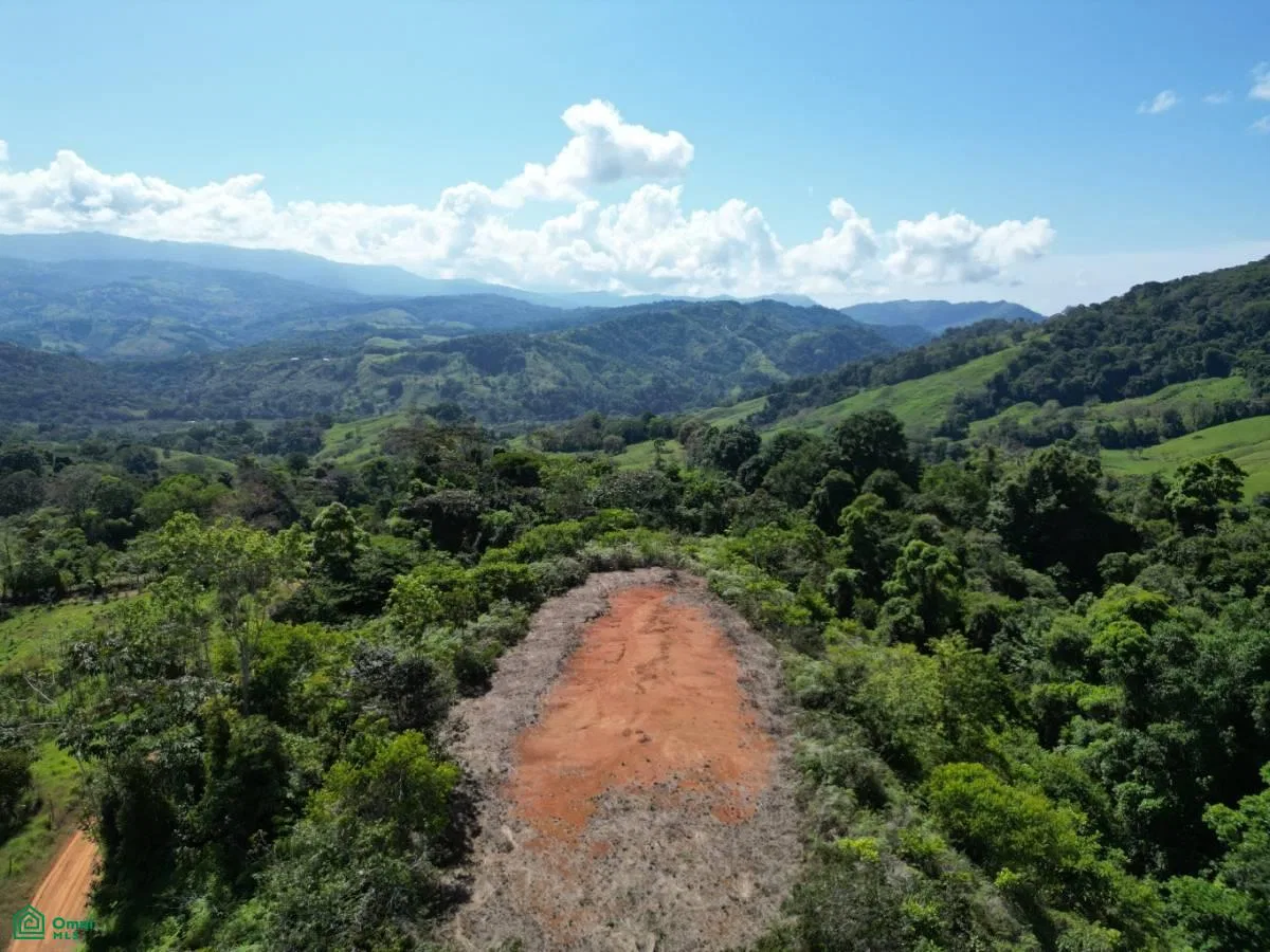 24 Acres – Land With 360° Mountain View, Jungle Legal Water & Electricity!!!