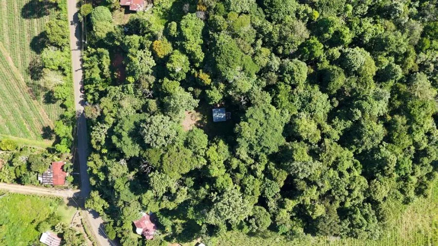 LOTE EN PEÑAS BLANCAS, PÉREZ ZELEDÓNNATURALEZA Y PRIVACIDAD - Venta en Perez Zeledón, photo 13