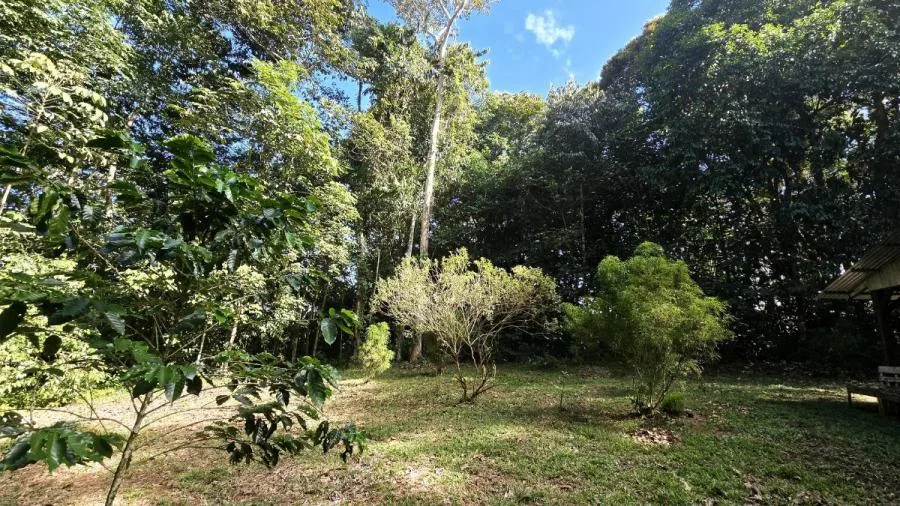 LOTE EN PEÑAS BLANCAS, PÉREZ ZELEDÓNNATURALEZA Y PRIVACIDAD - Venta en Perez Zeledón, photo 14