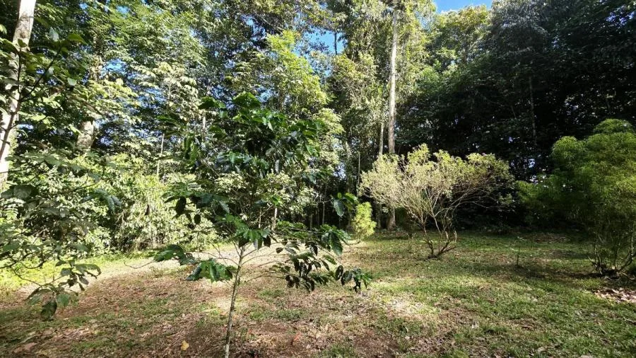 LOTE EN PEÑAS BLANCAS, PÉREZ ZELEDÓNNATURALEZA Y PRIVACIDAD - Venta en Perez Zeledón, photo 6