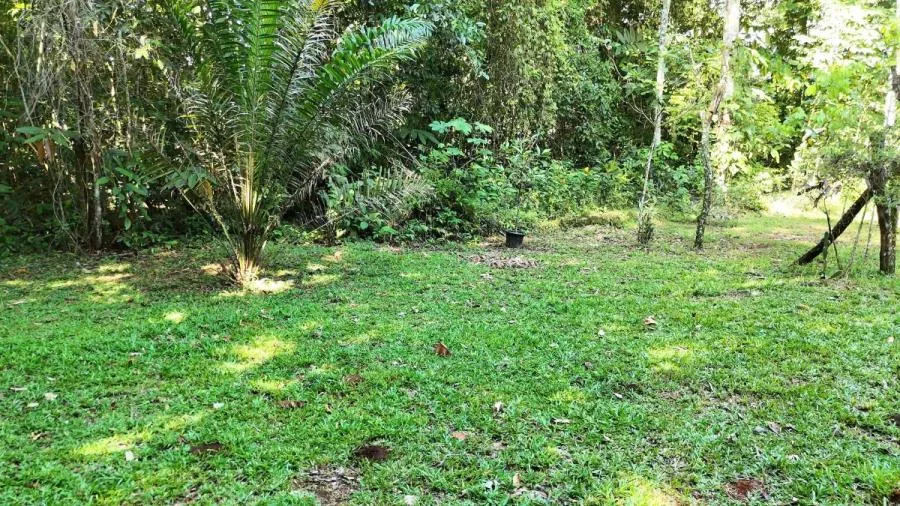 LOTE EN PEÑAS BLANCAS, PÉREZ ZELEDÓNNATURALEZA Y PRIVACIDAD - Venta en Perez Zeledón, photo 8