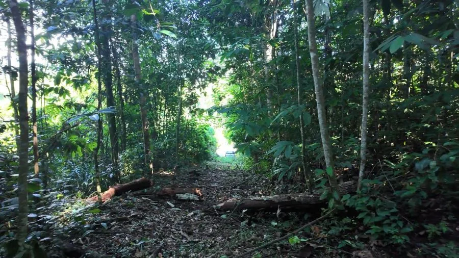 LOTE EN PEÑAS BLANCAS, PÉREZ ZELEDÓNNATURALEZA Y PRIVACIDAD - Venta en Perez Zeledón, photo 9