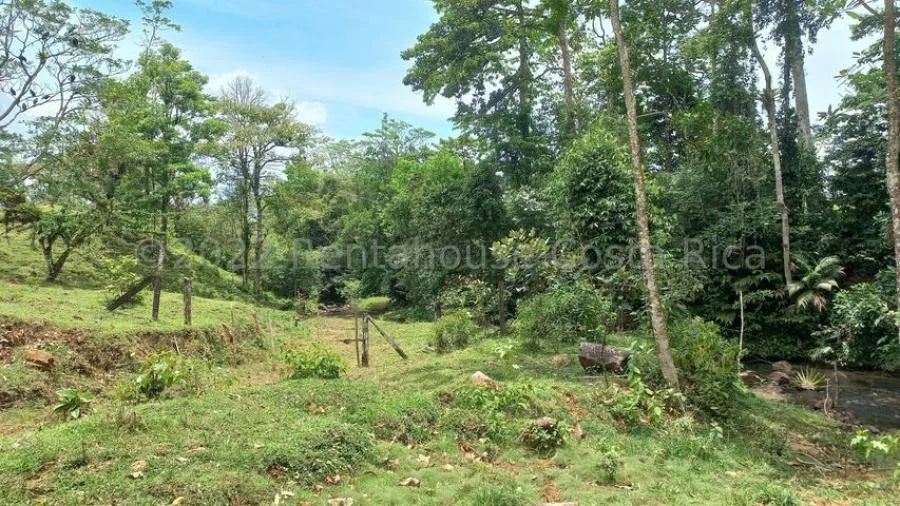 Venta de Lote en Upala, Alajuela. - Venta en Alajuela
