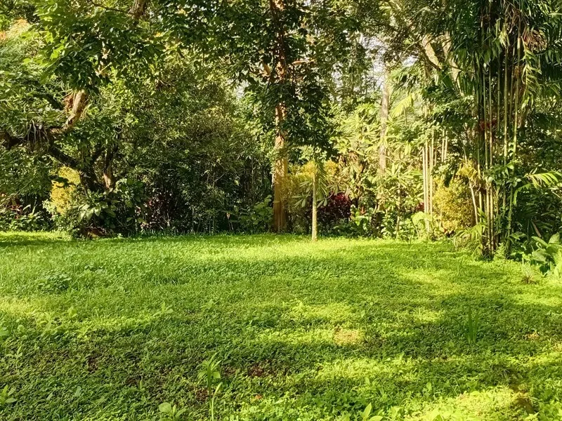2 Bed Single Family Homes For Sale in Puriscal, photo 15