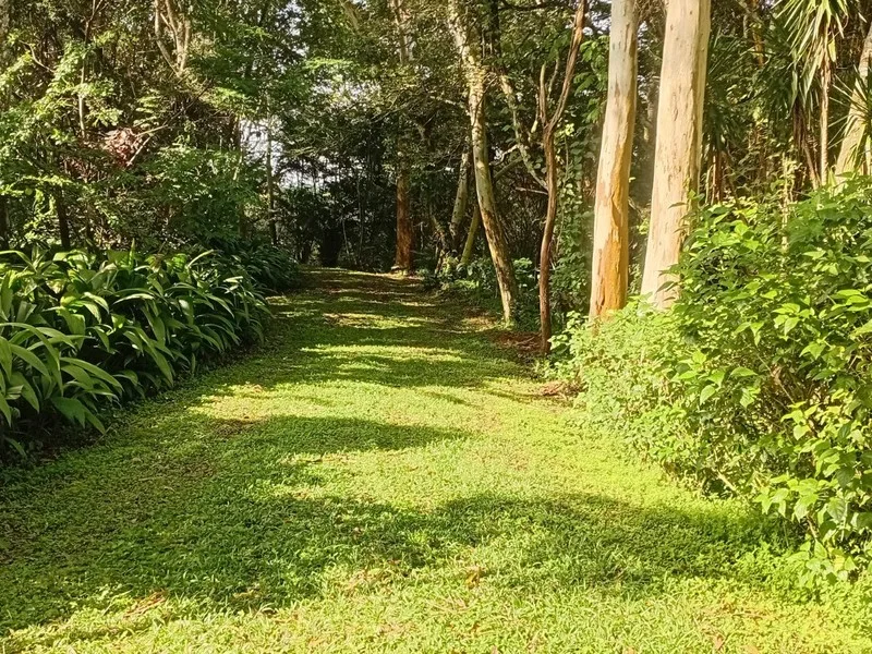 2 Bed Single Family Homes For Sale in Puriscal, photo 10