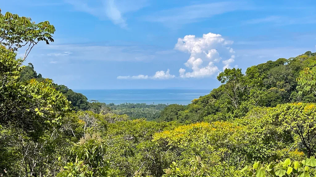Paradise for Sustainable Living, Environmental Protection, and Wellness Retreats in Costa Rica’s – 181 Acres, photo 2