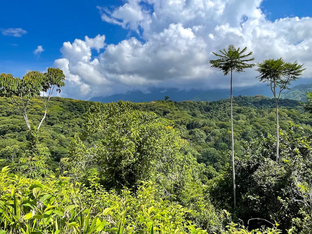 Paradise for Sustainable Living, Environmental Protection, and Wellness Retreats in Costa Rica’s – 181 Acres, photo 12