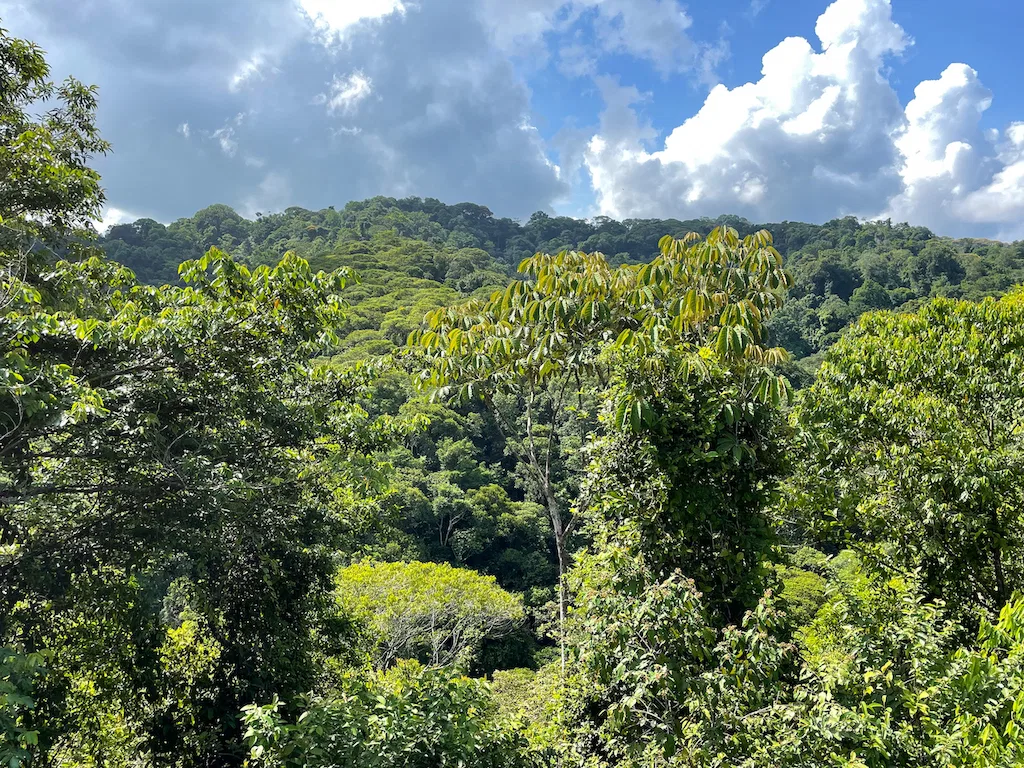 Paradise for Sustainable Living, Environmental Protection, and Wellness Retreats in Costa Rica’s – 181 Acres, photo 14