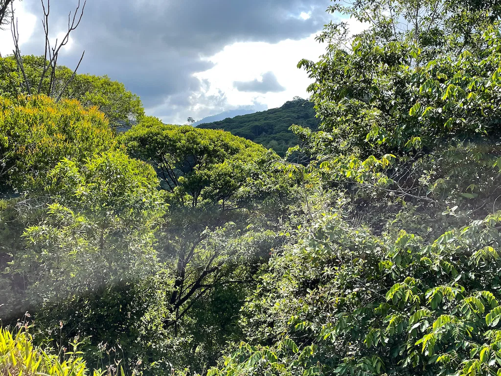 Paradise for Sustainable Living, Environmental Protection, and Wellness Retreats in Costa Rica’s – 181 Acres, photo 15