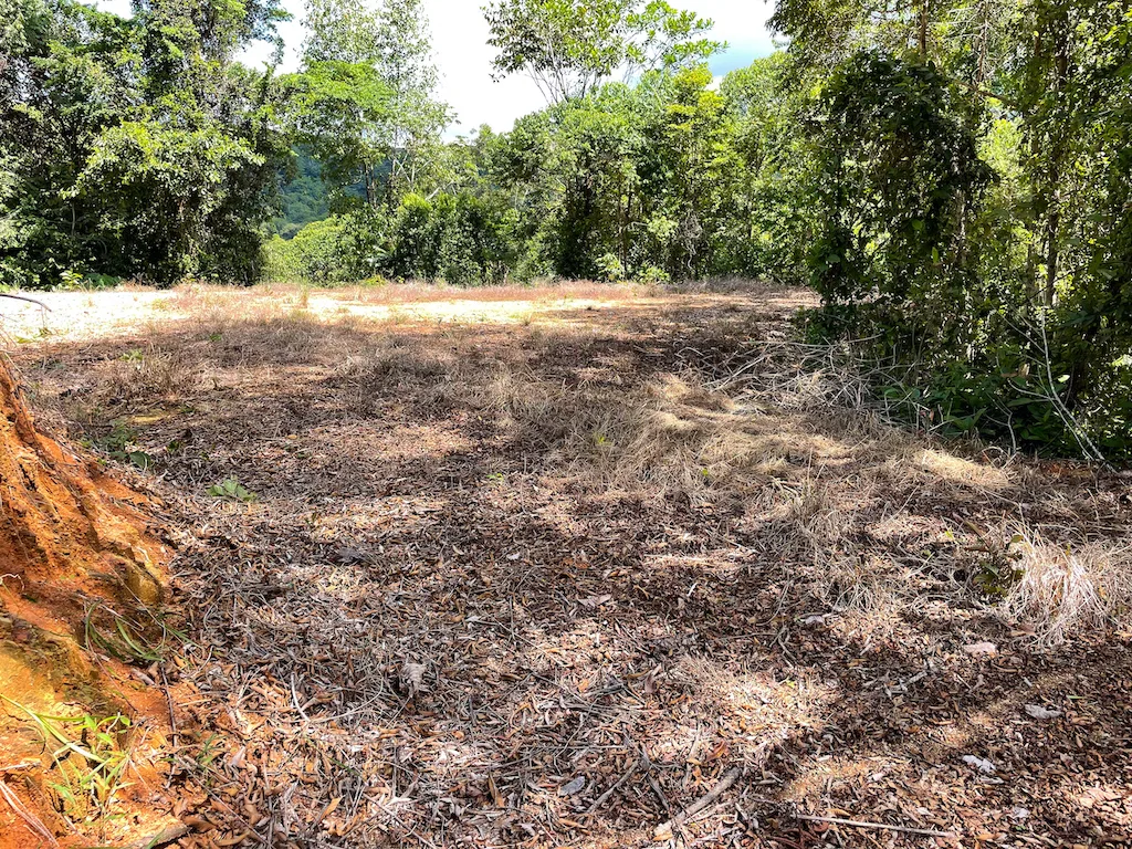 Paradise for Sustainable Living, Environmental Protection, and Wellness Retreats in Costa Rica’s – 181 Acres, photo 18