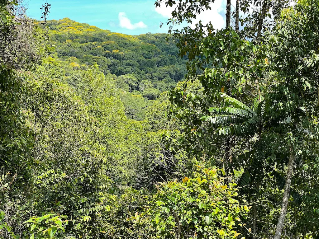 Paradise for Sustainable Living, Environmental Protection, and Wellness Retreats in Costa Rica’s – 181 Acres, photo 19
