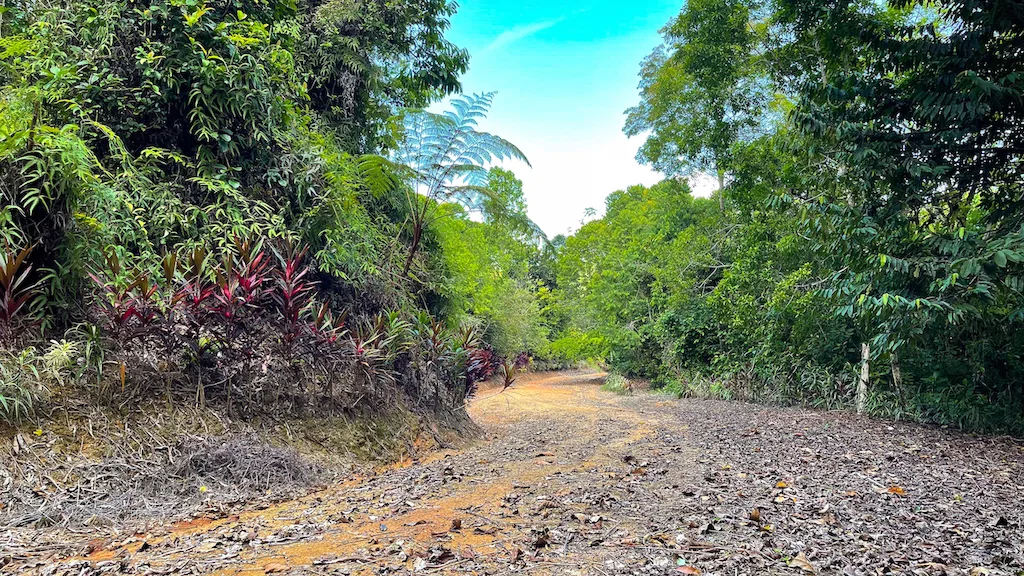 Paradise for Sustainable Living, Environmental Protection, and Wellness Retreats in Costa Rica’s – 181 Acres, photo 21