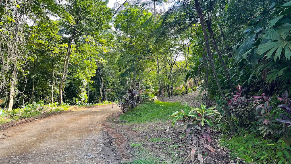 Paradise for Sustainable Living, Environmental Protection, and Wellness Retreats in Costa Rica’s – 181 Acres, photo 7