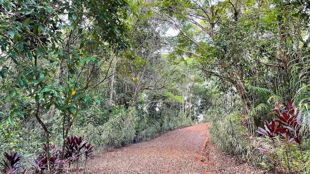 Paradise for Sustainable Living, Environmental Protection, and Wellness Retreats in Costa Rica’s – 181 Acres, photo 10