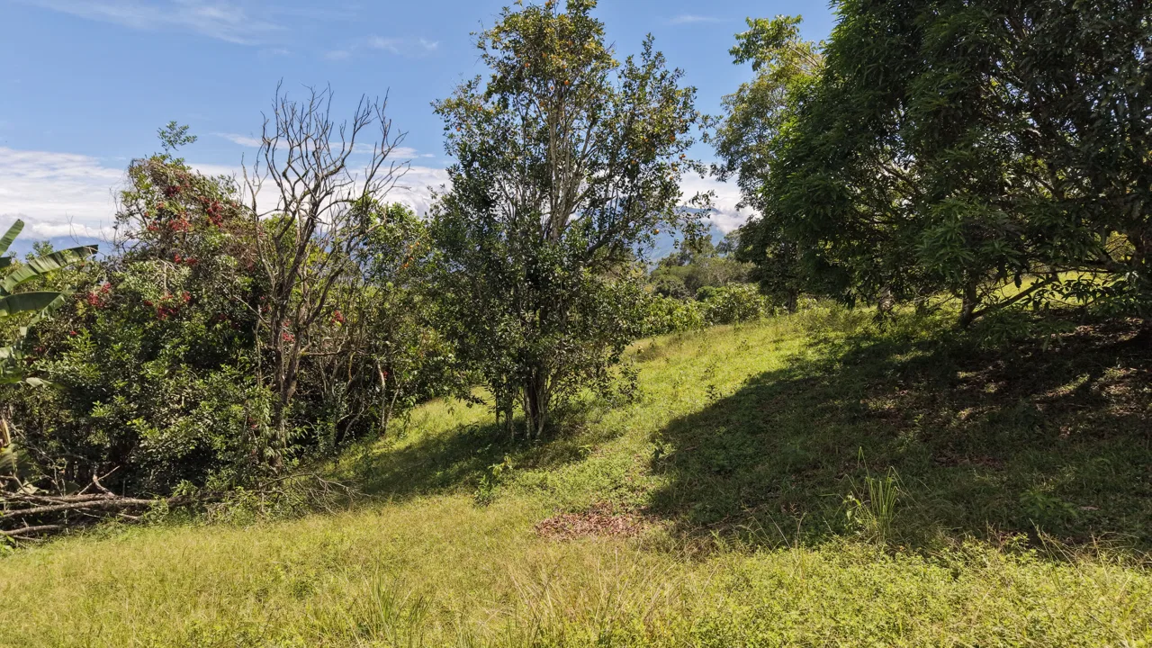 SE VENDE TERRENO LISTO PARA CONSTRUIR EN ZONA TRANQUILA Y DE CLIMA FRESCO, photo 3