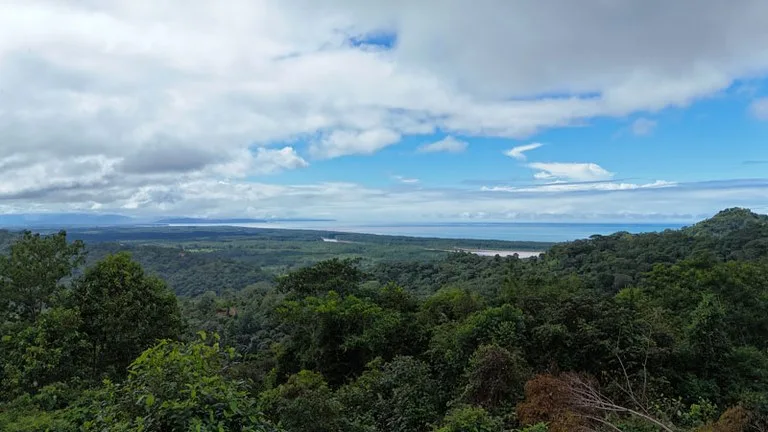 MOUNTAIN BUILDING PROPERTY WITH OCEAN VIEWS, IN TRES RIOS – 2.27 ACRES, photo 25