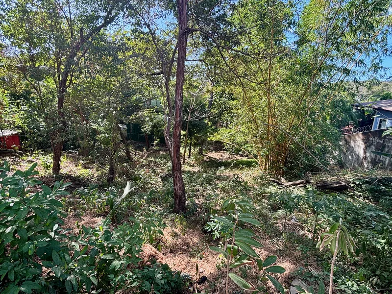 Land For Sale in Nosara, photo 2
