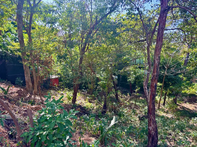 Land For Sale in Nosara, photo 3