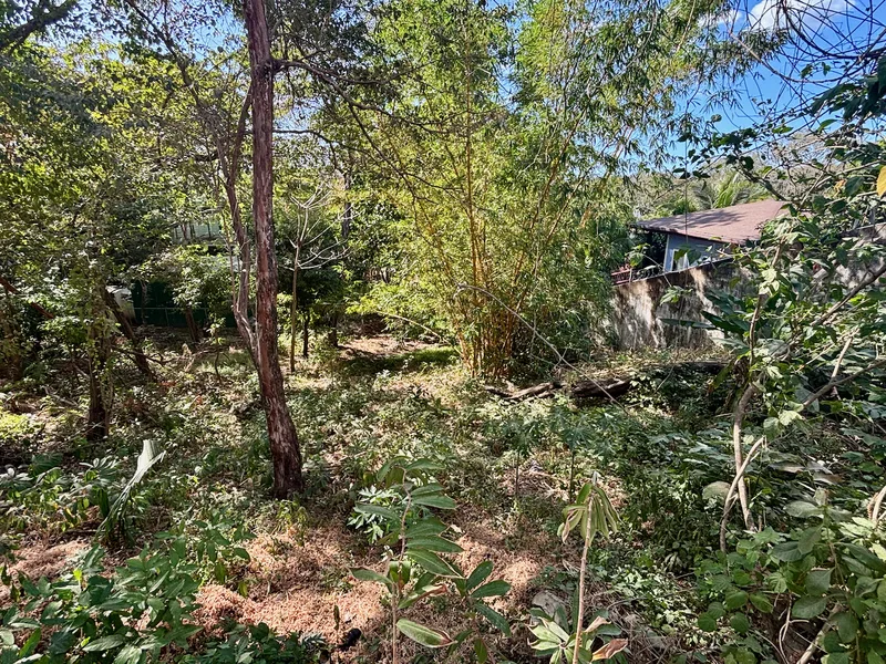 Land For Sale in Nosara, photo 4