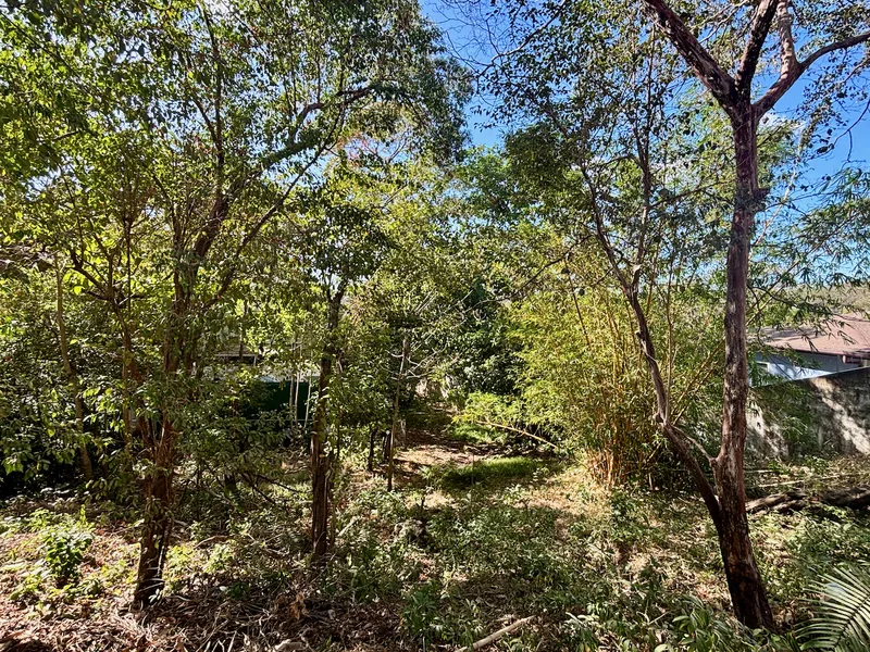 Land For Sale in Nosara, photo 5