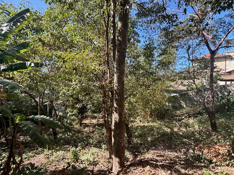 Land For Sale in Nosara, photo 6