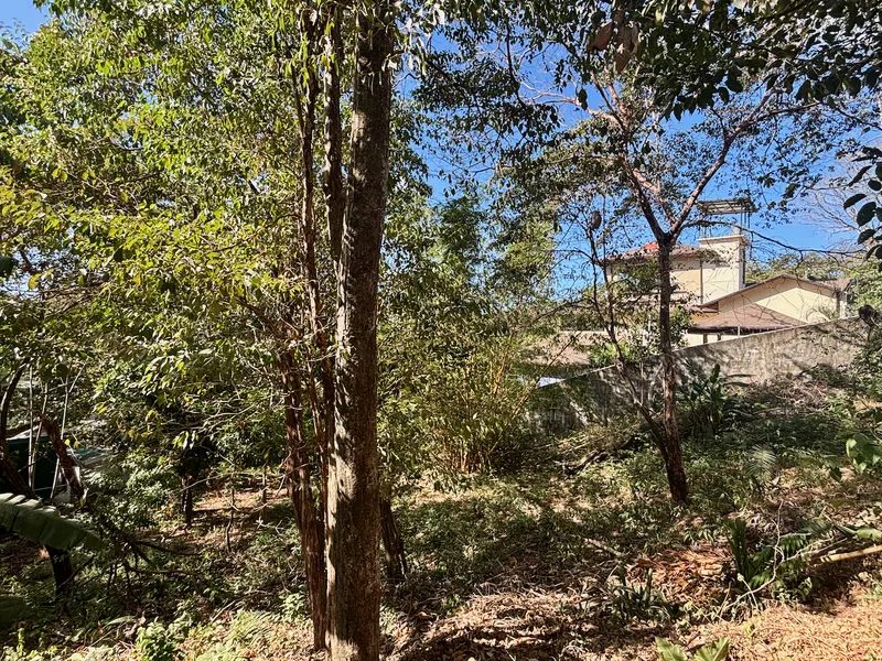 Land For Sale in Nosara, photo 7