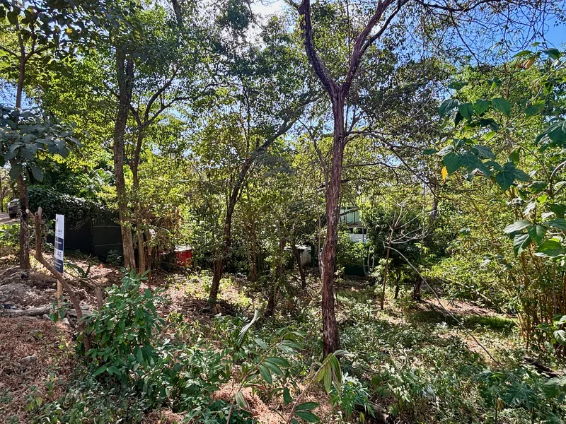 Land For Sale in Nosara, photo 8