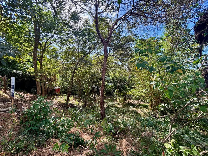 Land For Sale in Nosara, photo 9