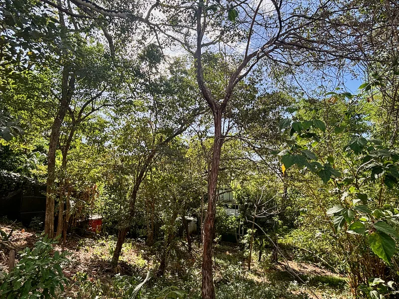 Land For Sale in Nosara, photo 10