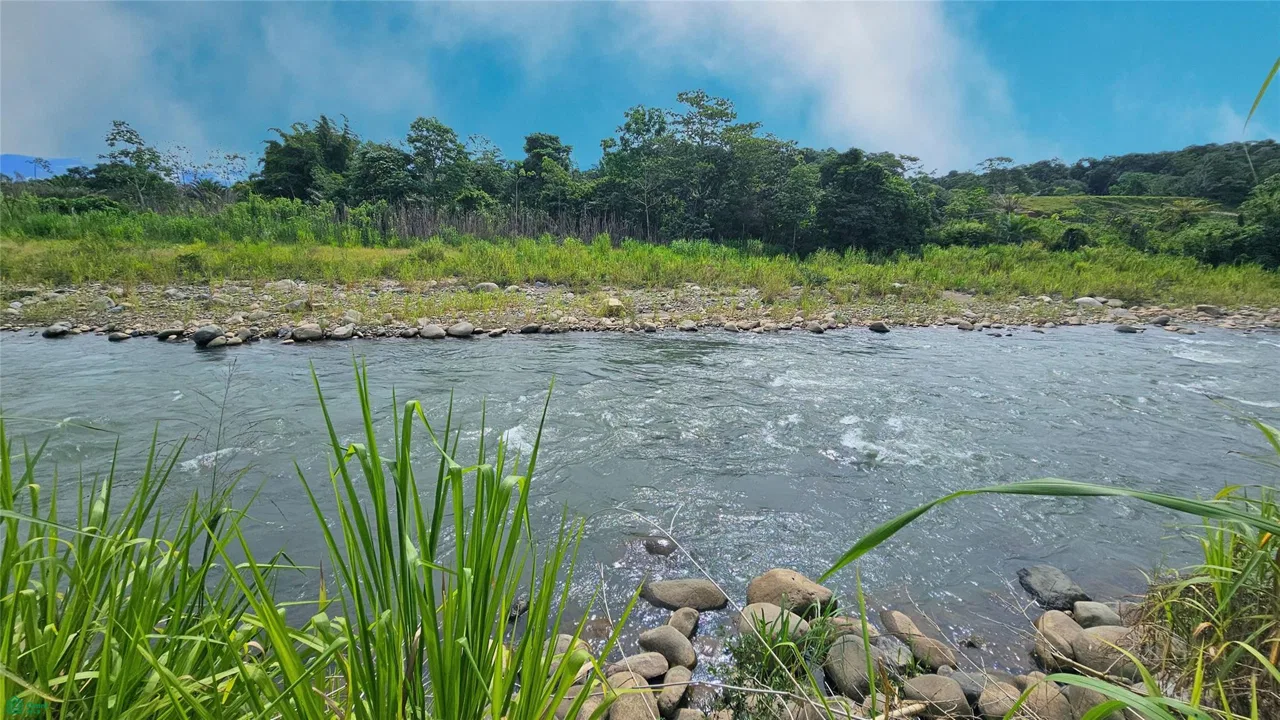 Finca Interamericana, photo 11