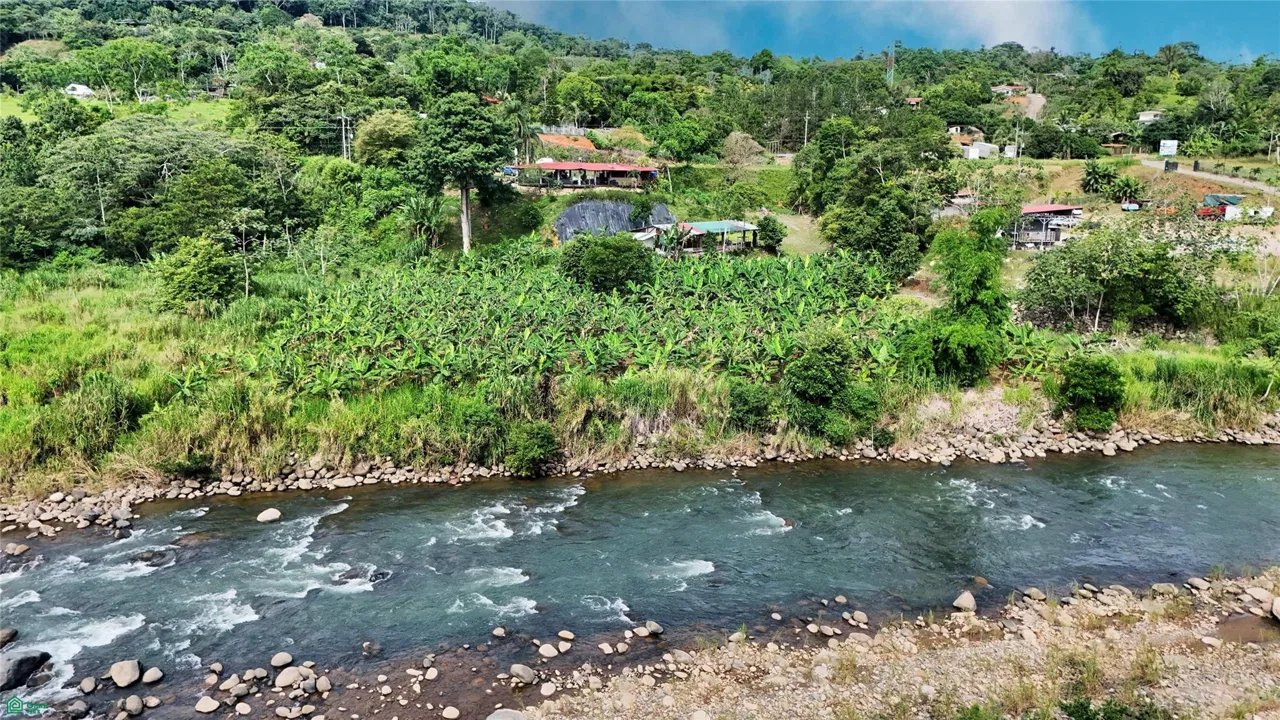 Finca Interamericana, photo 12