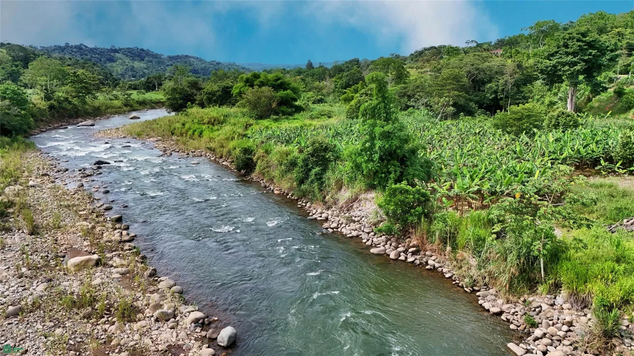 Finca Interamericana, photo 14