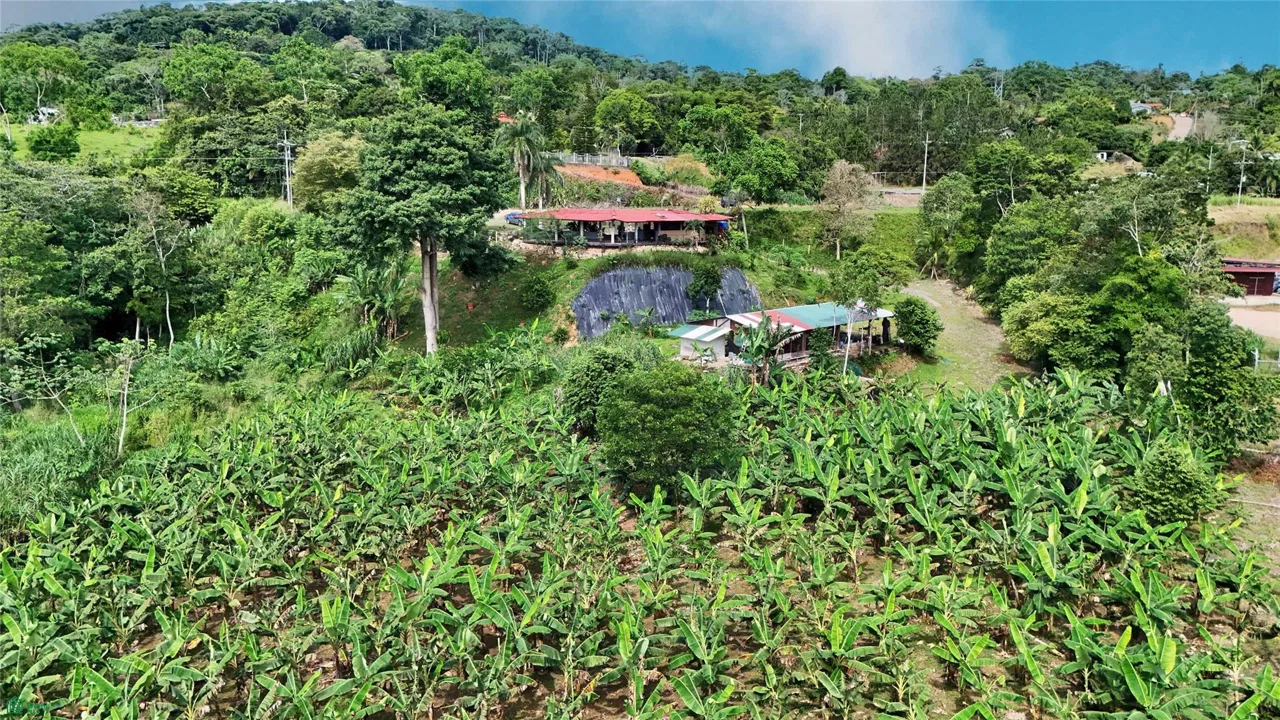 Finca Interamericana, photo 15
