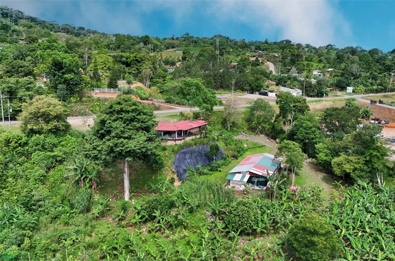 Finca Interamericana, photo 19