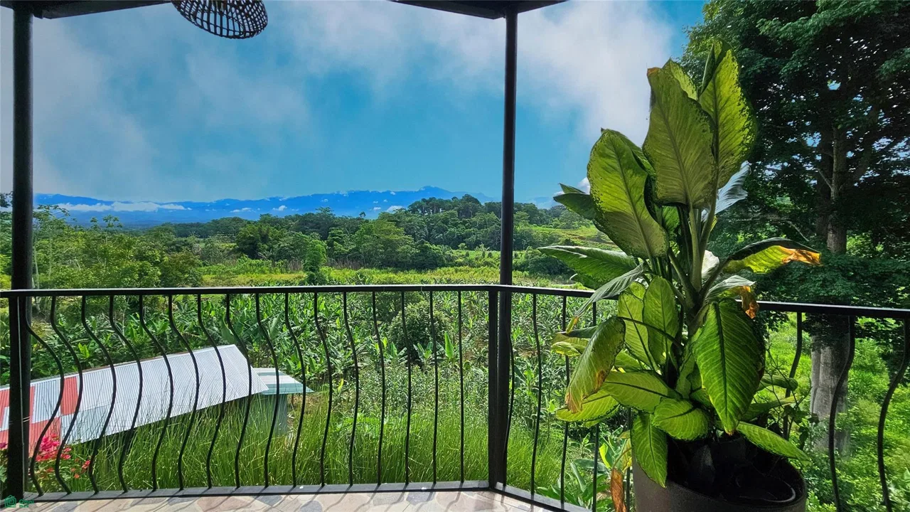 Finca Interamericana, photo 7